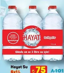HAYAT SU 6X1 L fiyat ve kampanya bilgisi